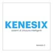 Logo Kenesix Srl