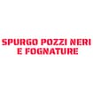 Logo Dinamica Spurgo Di Spina Antonino
