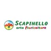 Logo Società Agricola - Ortofloricoltura Scapinello S.s. Di Scapinello Anna & C.