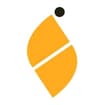 Logo Siriofin Spa