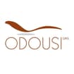 Logo Odousi G.m.s. S.a.s. Di Moizo Andrea Carlo E C.