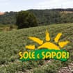 Logo Sole E Sapori - Società Cooperativa Agricola