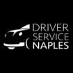 Logo Driver Service Naples Di Pomposo Ciro