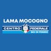 Logo Olimpic Lama Associazione Sportiva Dilettantistica