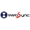 Logo Websync S.a.s. Di Vinco Claudio & C.