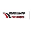 Logo Cecchinato Pneumatici Srl
