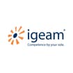 Logo Igeam Consulting Srl