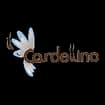 Logo Il Cardellino Srl