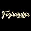 Logo Bovolenta Denis