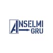 Logo Anselmi Noleggi Srl
