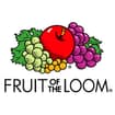 Logo Fruit Of The Loom Italy Srl