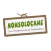 Logo Brainstorm Pet Marketing Service Di Benedetti Maurizio & C. S.n.c .