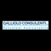 Logo Galliolo Consulenti S.a.s. Di Galliolo Diego E G. & C.