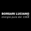 Logo Borsari Luciano Srl