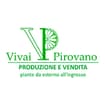 Logo Vivai Pirovano Società Agricola A Responsabilita' Limitata