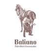 Logo Baliano S.n.c. Di Barsotti N. & Franchini F.