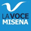 Logo Fondazione Gabbiano