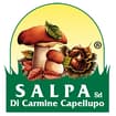 Logo Salpa Srl Di Capellupo C. & C.
