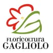 Logo Floricoltura Gagliolo S.a.s. Di Gagliolo Massimo
