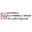 Logo Ilg Iommelli Group Srl