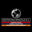 Logo Destefano Speciale & C. Srl