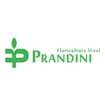 Logo Prandini Gabriele