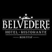 Logo Albergo Belvedere Srl