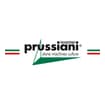 Logo Prussiani Engineering Spa