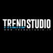 Logo Trendstudio Srl