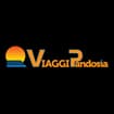 Logo Viaggi Pandosia S.n.c. Di Petrelli Francesco