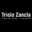 Logo Casa Di Cure Triolo Zancla Spa