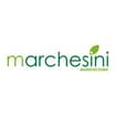 Logo Marchesini Srl