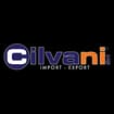 Logo Cilvani Srl