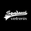 Logo Vetreria Spadazzi Srl