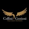 Logo Collini Gestioni Srl