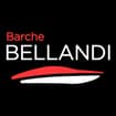 Logo Bellandi Srl