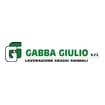 Logo Gabba Giulio Srl
