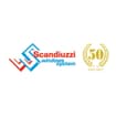 Logo Scandiuzzi Windows System S.a.s. Di Livio, Walter & C.