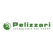 Logo Pelizzari Srl
