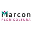 Logo Azienda Agricola Marcon Nereo
