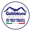 Logo Gabbiano Top Team Volley Mantova Srl Società Sportiva Dilettantistica