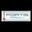 Logo Fortis Angelo Srl