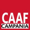 Logo Centro Autorizzato Di Assistenza Fiscale Della Confederazione Gen Erale Italiana Del Srl - Sigla: Caaf - Cgil Campania Srl