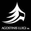Logo Agostinis Luigi Srl