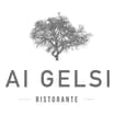 Logo Gelsi Srl