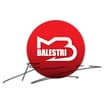 Logo Balestri Gianluca