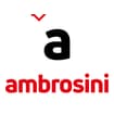 Logo Ambrosini G.t. Srl