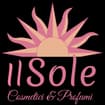 Logo Il Sole Srl