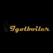 Logo P.f.m. Igolboiler Srl