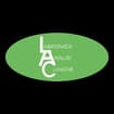 Logo Labronica Analisi Cliniche Snc Di Momini Valeria & C.